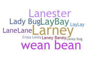 ชื่อเล่น - Laney