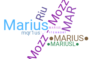 ชื่อเล่น - Marius