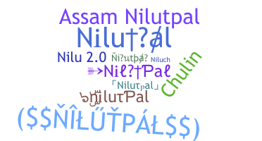 ชื่อเล่น - nilutpal