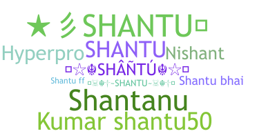 ชื่อเล่น - Shantu