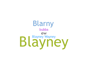 ชื่อเล่น - Blayne