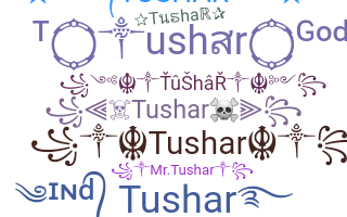 ชื่อเล่น - Tushar