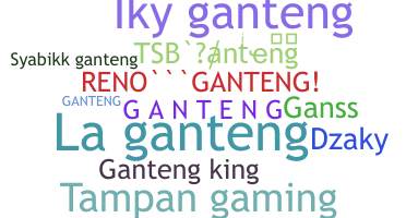 ชื่อเล่น - Ganteng