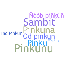 ชื่อเล่น - pinkun