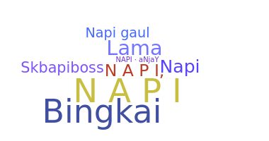 ชื่อเล่น - napi