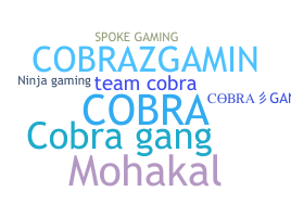 ชื่อเล่น - CobraGang