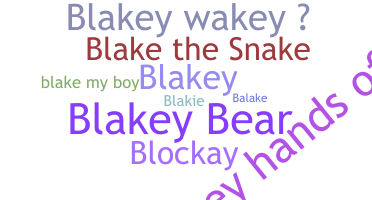 ชื่อเล่น - Blake