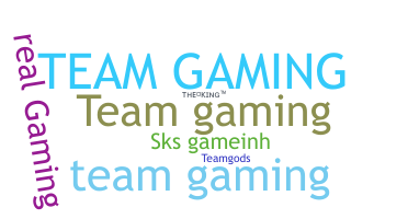 ชื่อเล่น - TeamGaming