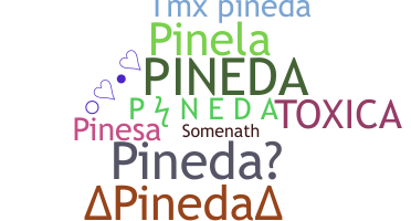 ชื่อเล่น - Pineda