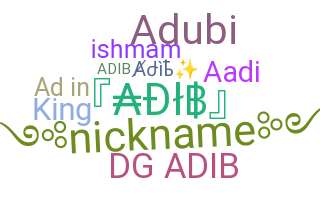 ชื่อเล่น - Adib