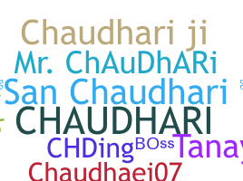 ชื่อเล่น - Chaudhari
