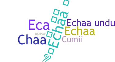 ชื่อเล่น - echaa
