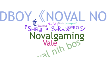 ชื่อเล่น - Noval