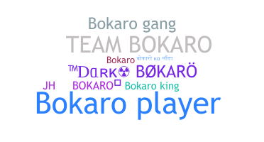 ชื่อเล่น - bokaro