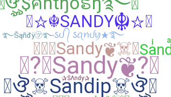 ชื่อเล่น - Sandy