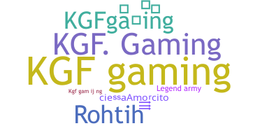 ชื่อเล่น - KGFgaming