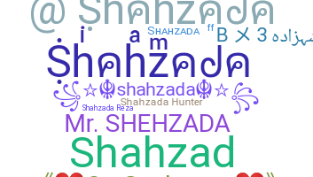 ชื่อเล่น - Shahzada