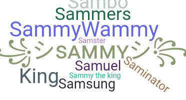 ชื่อเล่น - Sammy