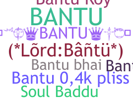 ชื่อเล่น - Bantu