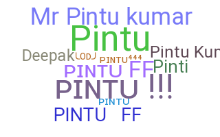 ชื่อเล่น - Pintukumar