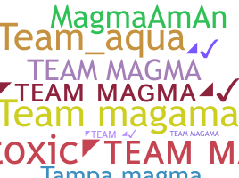 ชื่อเล่น - teammagma