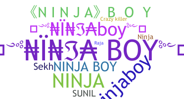 ชื่อเล่น - NinjaBoy