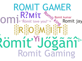 ชื่อเล่น - Romit
