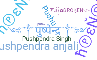 ชื่อเล่น - Pushpendra