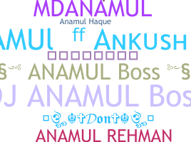 ชื่อเล่น - Anamul