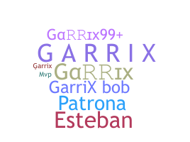 ชื่อเล่น - Garrix