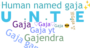 ชื่อเล่น - gaja