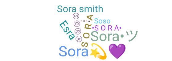 ชื่อเล่น - Sora