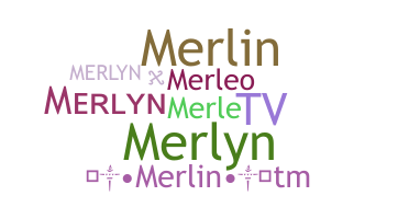 ชื่อเล่น - merlyn