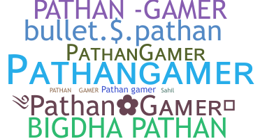 ชื่อเล่น - pathangamer