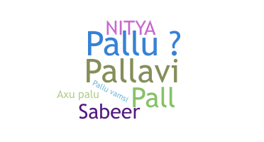 ชื่อเล่น - Pallu