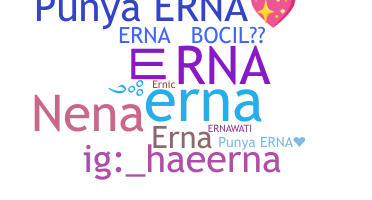 ชื่อเล่น - erna