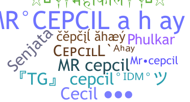 ชื่อเล่น - Mrcepcil