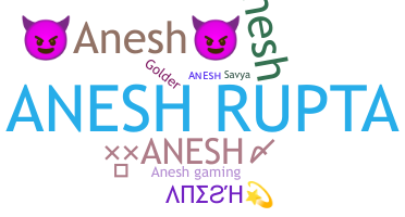 ชื่อเล่น - Anesh