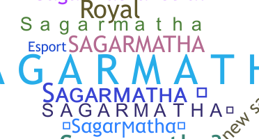 ชื่อเล่น - sagarmatha