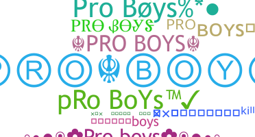 ชื่อเล่น - ProBoys