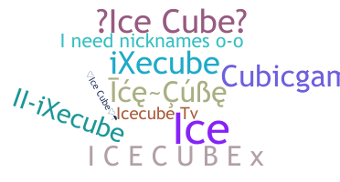 ชื่อเล่น - icecube