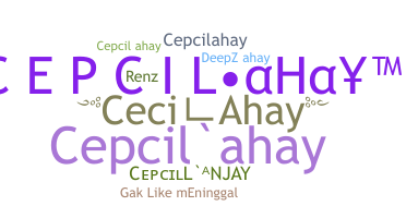 ชื่อเล่น - CepcilAhay