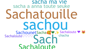 ชื่อเล่น - Sacha