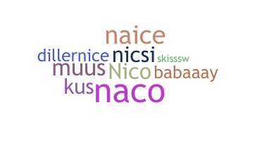 ชื่อเล่น - Nicoline
