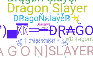 ชื่อเล่น - dragonslayer