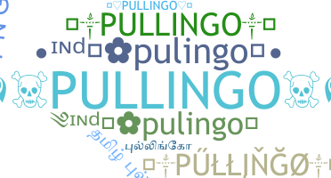 ชื่อเล่น - Pullingo