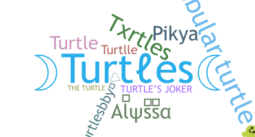 ชื่อเล่น - Turtles