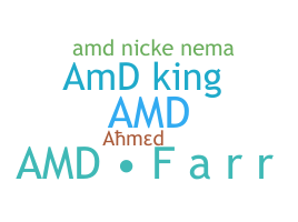 ชื่อเล่น - amD