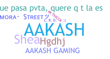 ชื่อเล่น - Aakashgaming