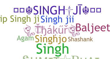 ชื่อเล่น - Singhji